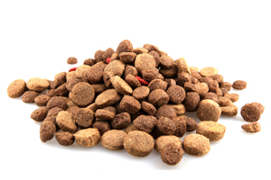 FDA updates Salmonella policy in animal feed