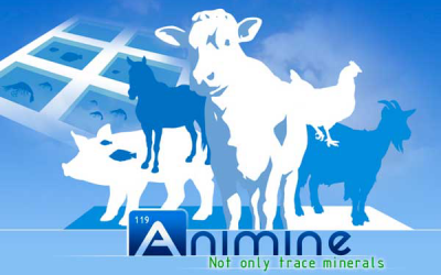 Animine appoints Feedworks as Australian distributor