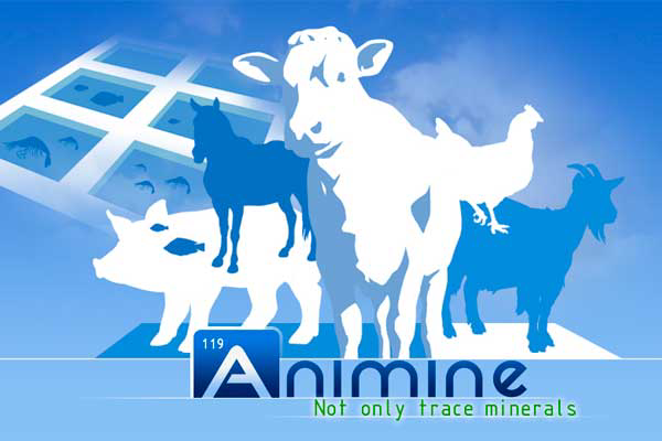 Animine appoints Feedworks as Australian distributor