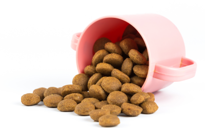 Mycotoxin levels in extruded commercial dog food