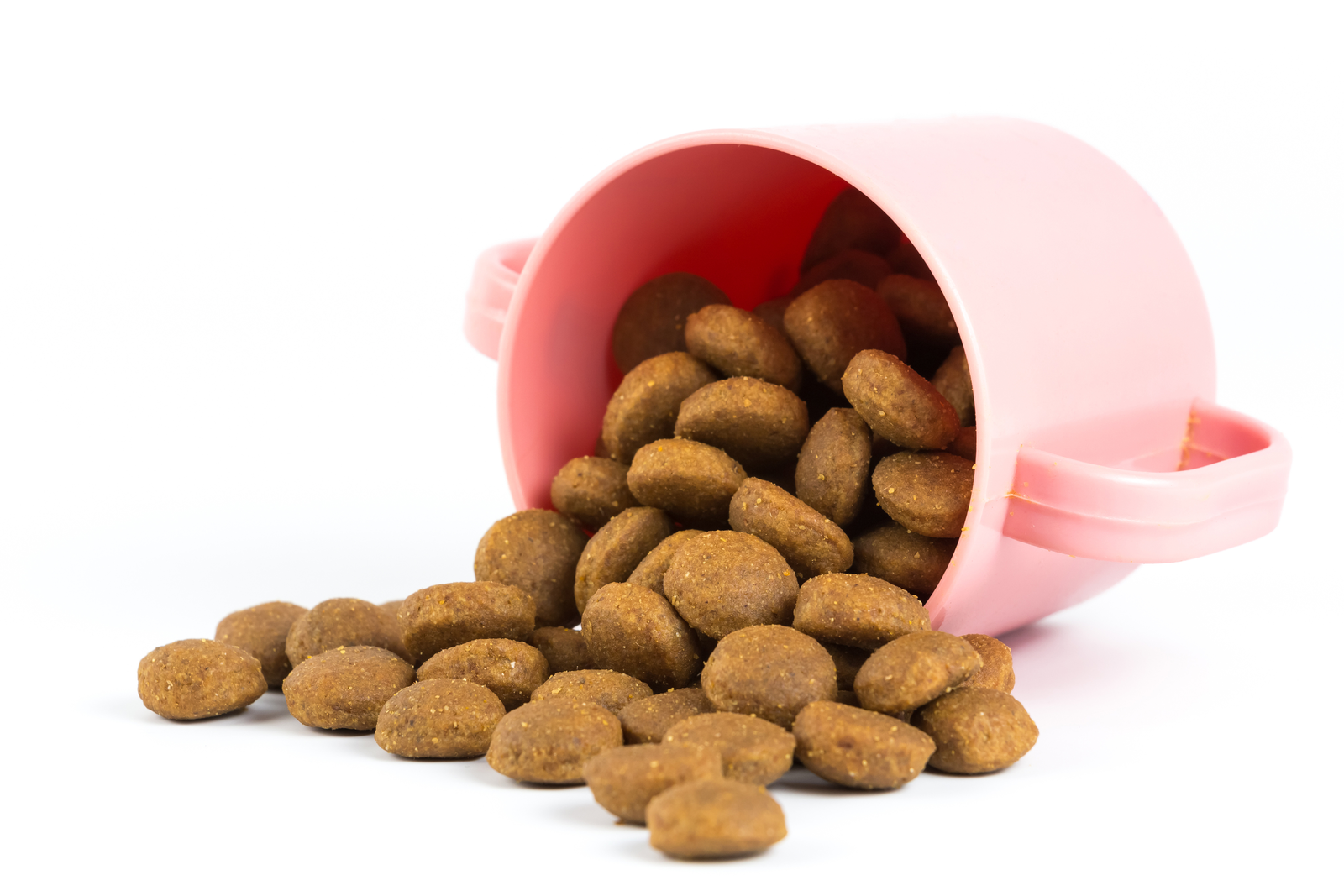 Mycotoxin levels in extruded commercial dog food