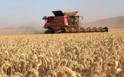 Extreme weather conditions combined with Brexit concerns have left arable farmers in the UK worried about the future. Photo: Chris Mccullough