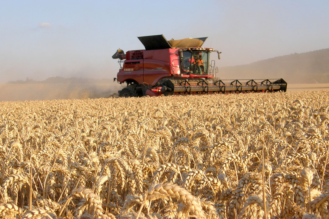 Extreme weather conditions combined with Brexit concerns have left arable farmers in the UK worried about the future. Photo: Chris Mccullough