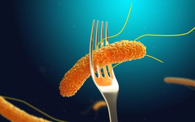Salmonella contamination is a global issue, it is critical that it is tackled at all stages of production. Photo: Shutterstock