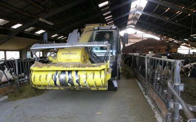 Carsten feeds a mixed ration on his farm near Kassel. Photo: Chris McCullough