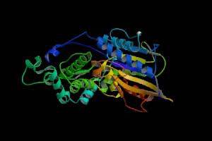Is Phytase enzyme the only weapon in the battle against phytate?