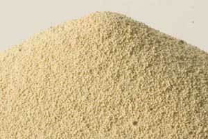 Nutritional value of extruded full-fat soybean meal for poultry