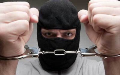 Animal feed thieves caught and booked