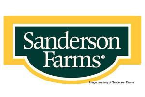 Sanderson Farms cutting production to protect margins