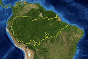 Deforestation Amazon biome at standstill