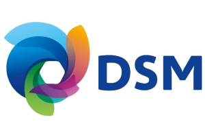 Company update: DSM solid Q3 results