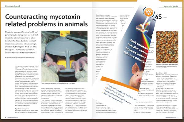 Mycotoxin Special magazine now online