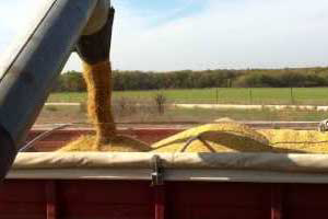 US to double soybean export to Russia from 2014