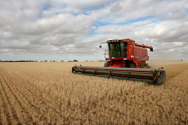 Australian feed sector sees light at end of 5 yr tunnel