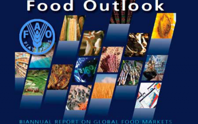 FAO report predicts more balanced 2013/14 cereal market