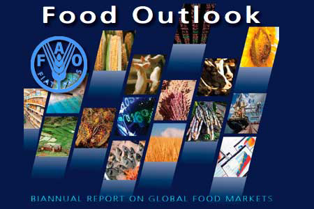 FAO report predicts more balanced 2013/14 cereal market