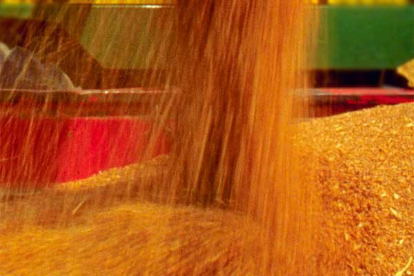 Ukraine govt urges grain exports despite stock decline