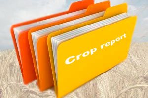 Crop Report: Australia optimistic about winter crops