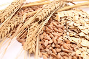 Ukraine aims for record grain harvest