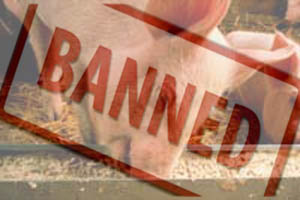 France bans imports of animal feed containing pork