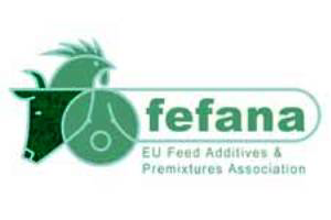 FEFANA Activity Report 2011-2013 published