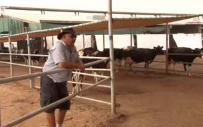 Video: Al Rawabi Dairy Farm UAE