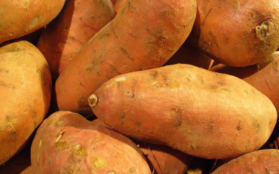 Sweet potato the new aquafeed