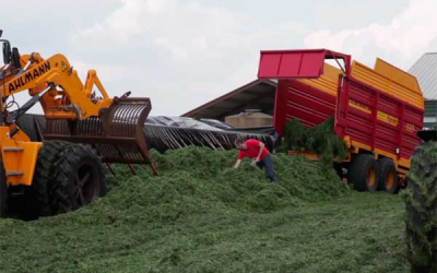 Central silage for 11 Dutch dairy farms