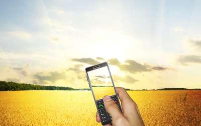 The use of mobile technology to managing mycotoxins
