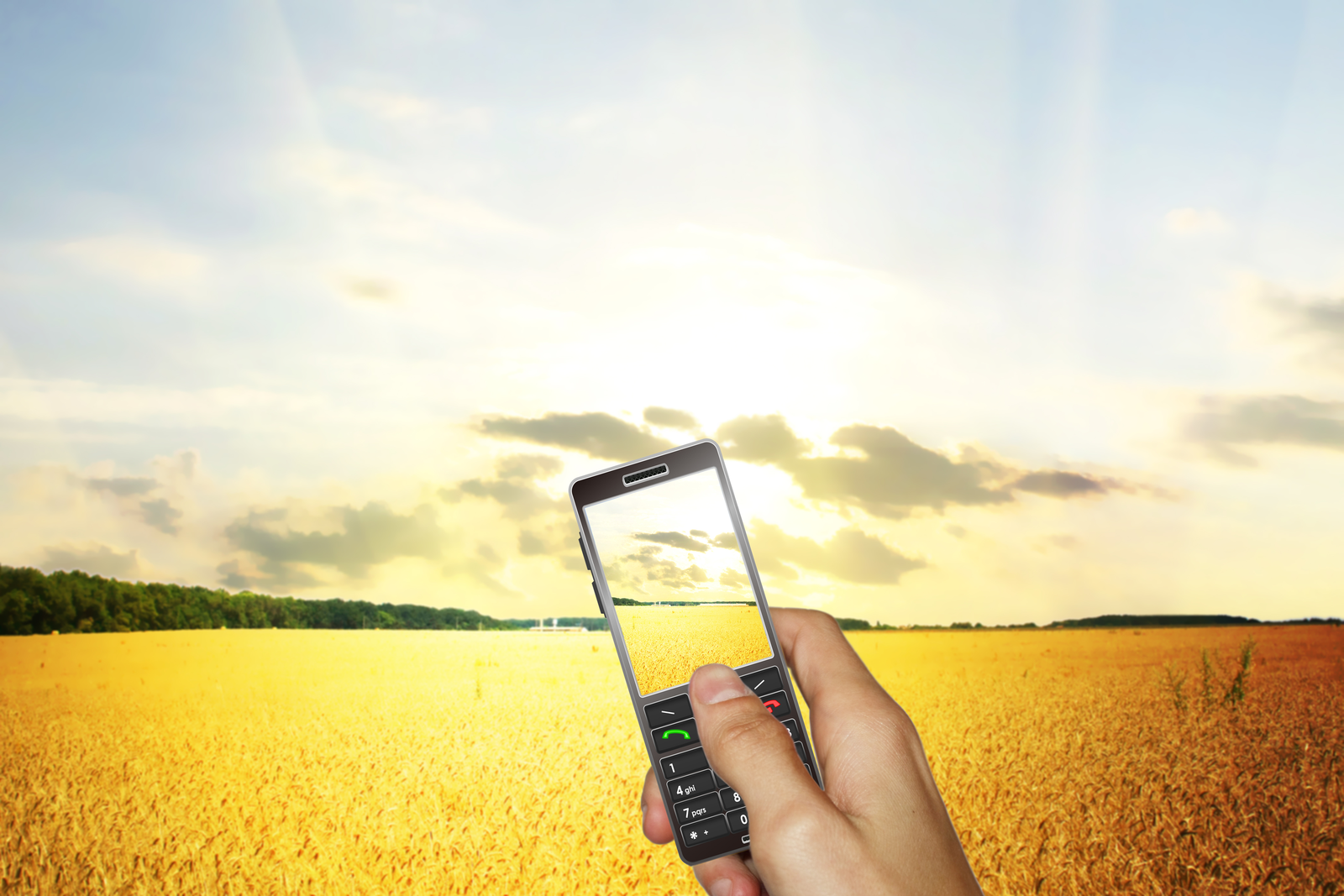 The use of mobile technology to managing mycotoxins