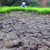 Drought and floods hit Chinese crops