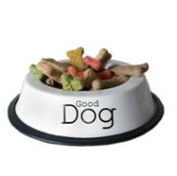 Voluntary recall of dog food in Connecticut
