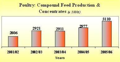 Industrial Compound Feed Production