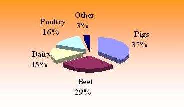 Industrial compound feed production