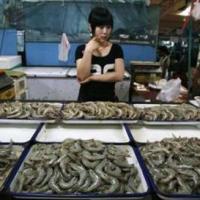 China to clean up feed and food scares