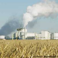 Ethanol boom hits corn market