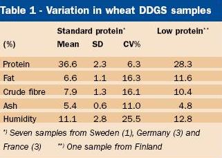 Wheat dictates DDGS supply in Europe