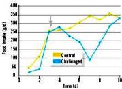 Performance during pathogen challenge