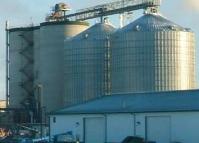 Risk management crucial as feed prices soar