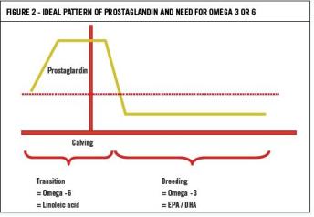 Healthy fatty acids for better fertility in cows