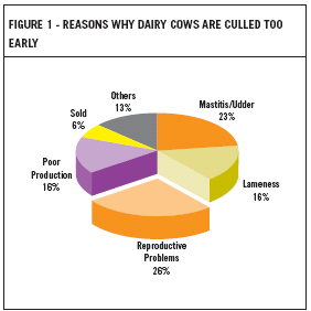 ß-carotene and cow reproductive performance