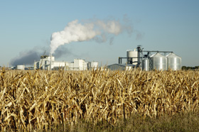 Shedding light in the corn for fuel or food debate
