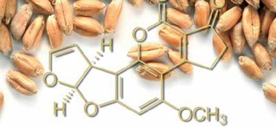 Mycotoxin survey shows size of the problem