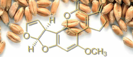 Mycotoxin survey shows size of the problem