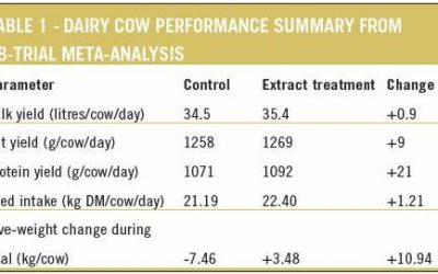 Increasing role for plant extracts in cattle diets