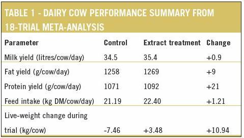 Increasing role for plant extracts in cattle diets