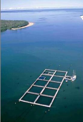 Climate assessment for farmed salmon