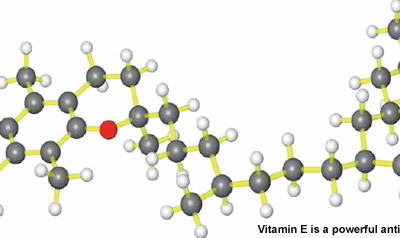 Vitamin E with other antioxidants form the wisest combination