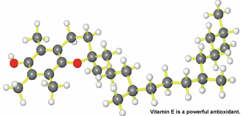 Vitamin E with other antioxidants form the wisest combination