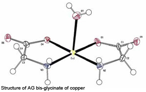 Pure bis-glycinates: Highly available trace minerals